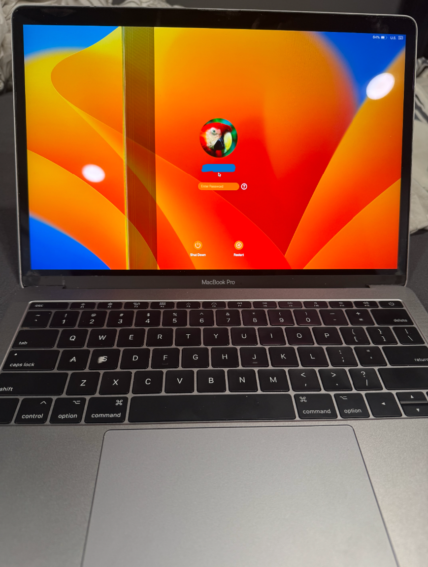 Genuine Apple MacBook Pro 13" A1706/A1708 LCD Screen Assembly Space Gray *Read